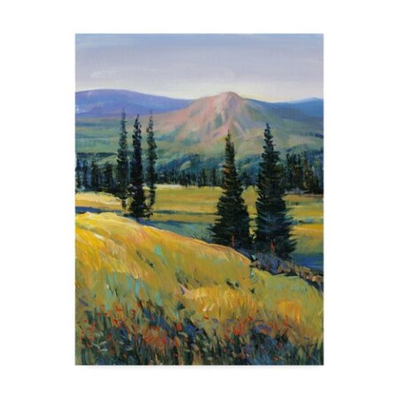 Tim Otoole 'Purple Mountain Majesty Ii' Canvas Art,14x19